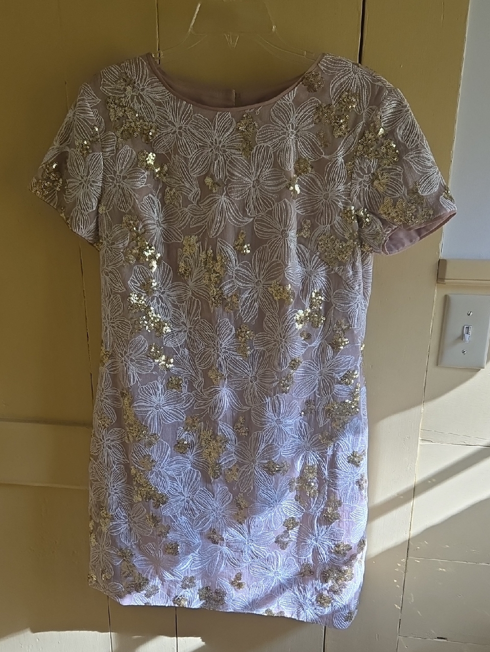 Dress the Population Blush Embroidered Sequin Shift Dress